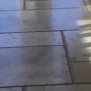 Meet your Posher, Josephine